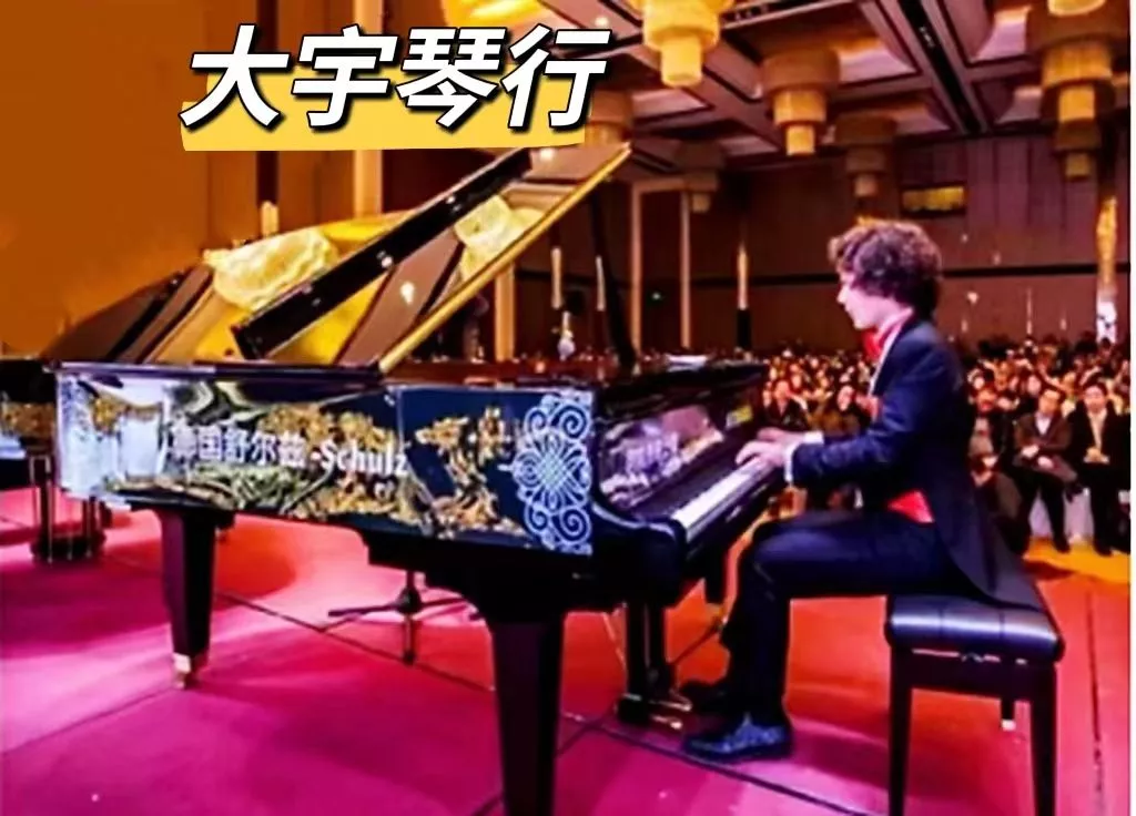 德国钢琴演奏家倾情演绎舒尔兹钢琴