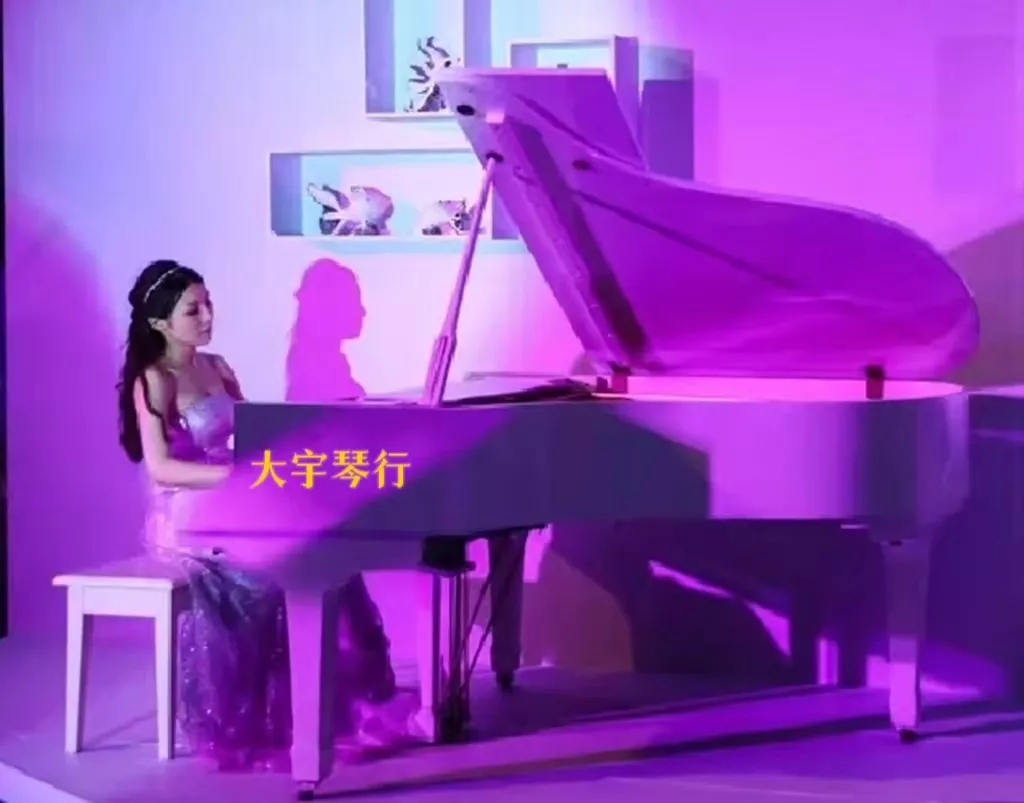 乐器租赁和商演服务（福州大宇琴行）