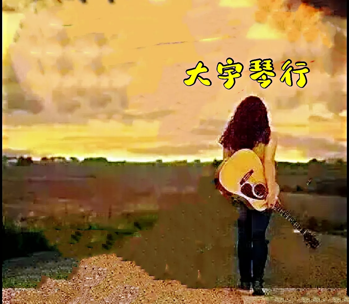 有音乐梦想的地方，就有大宇琴行